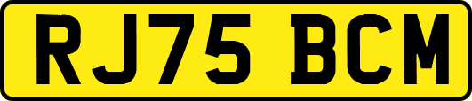 RJ75BCM