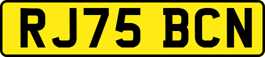 RJ75BCN