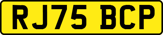 RJ75BCP