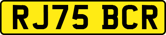 RJ75BCR