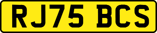RJ75BCS