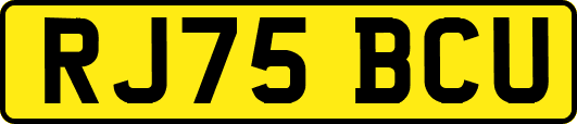 RJ75BCU