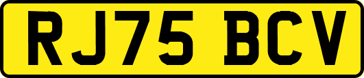 RJ75BCV