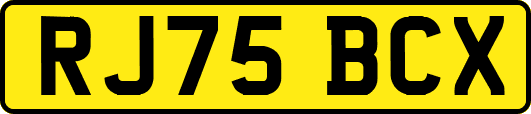 RJ75BCX