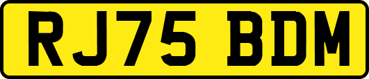 RJ75BDM
