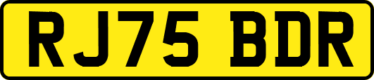 RJ75BDR