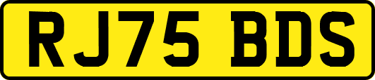 RJ75BDS