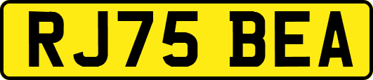 RJ75BEA