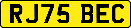 RJ75BEC