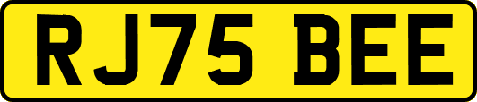 RJ75BEE
