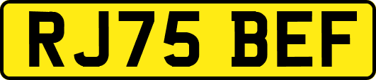 RJ75BEF