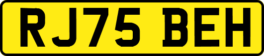 RJ75BEH