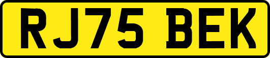 RJ75BEK
