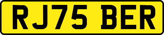 RJ75BER