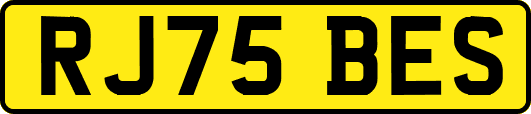 RJ75BES