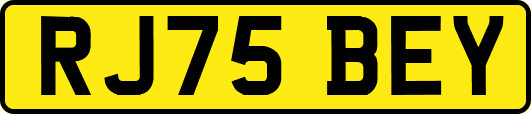 RJ75BEY