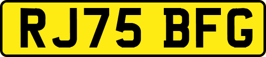 RJ75BFG