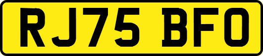 RJ75BFO