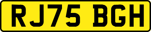RJ75BGH