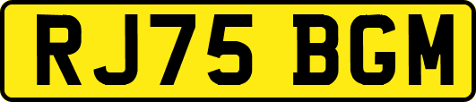 RJ75BGM