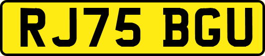 RJ75BGU