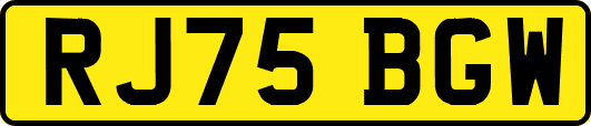 RJ75BGW