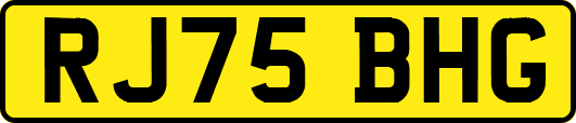 RJ75BHG