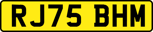RJ75BHM