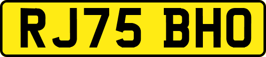 RJ75BHO