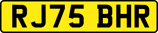 RJ75BHR