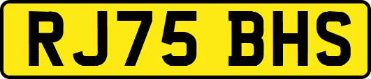 RJ75BHS
