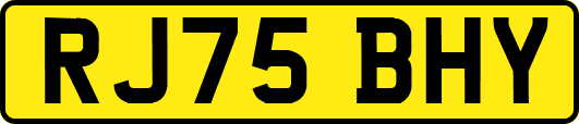 RJ75BHY