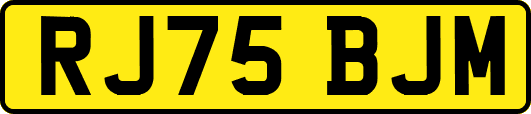 RJ75BJM