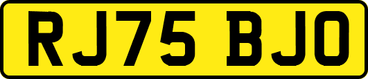 RJ75BJO