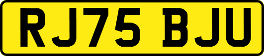 RJ75BJU