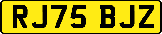 RJ75BJZ