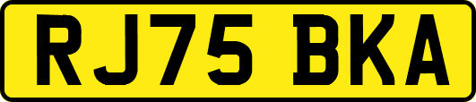 RJ75BKA