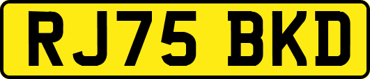 RJ75BKD