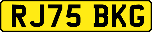 RJ75BKG