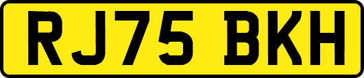 RJ75BKH