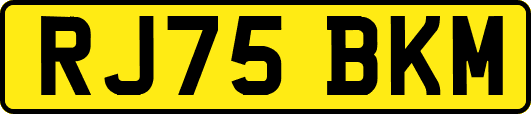 RJ75BKM
