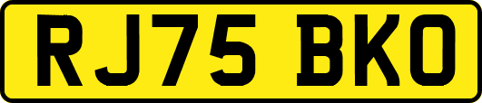 RJ75BKO