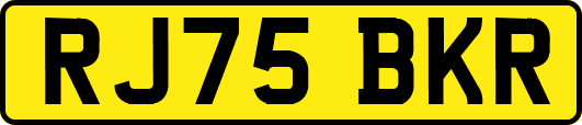RJ75BKR