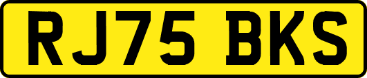RJ75BKS