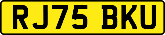 RJ75BKU