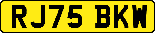 RJ75BKW