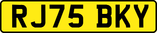 RJ75BKY
