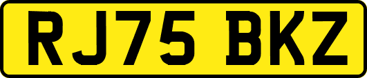 RJ75BKZ