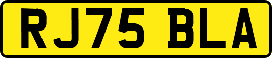 RJ75BLA