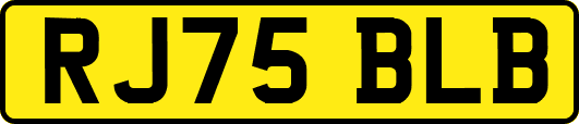 RJ75BLB